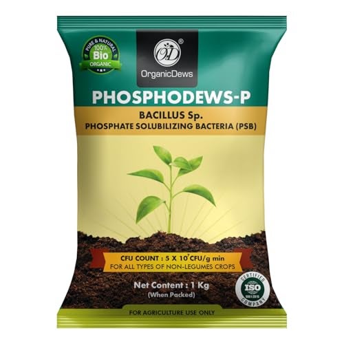 OrganicDews Phosphate Solubilizing Bacteria PSB (5x10^7 CFU/g) Bio Inoculum Fertilizer (1 Kg) for Plants - Faster Root Growth and Better Nutrient Uptake-1 Kg - Image 1