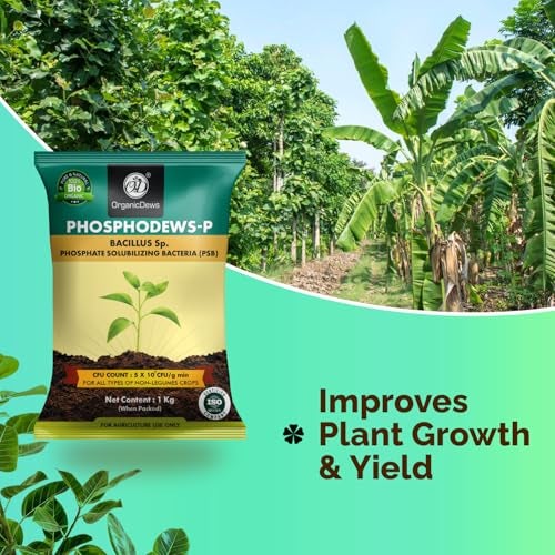 OrganicDews Phosphate Solubilizing Bacteria PSB (5x10^7 CFU/g) Bio Inoculum Fertilizer (1 Kg) for Plants - Faster Root Growth and Better Nutrient Uptake-1 Kg - Image 3