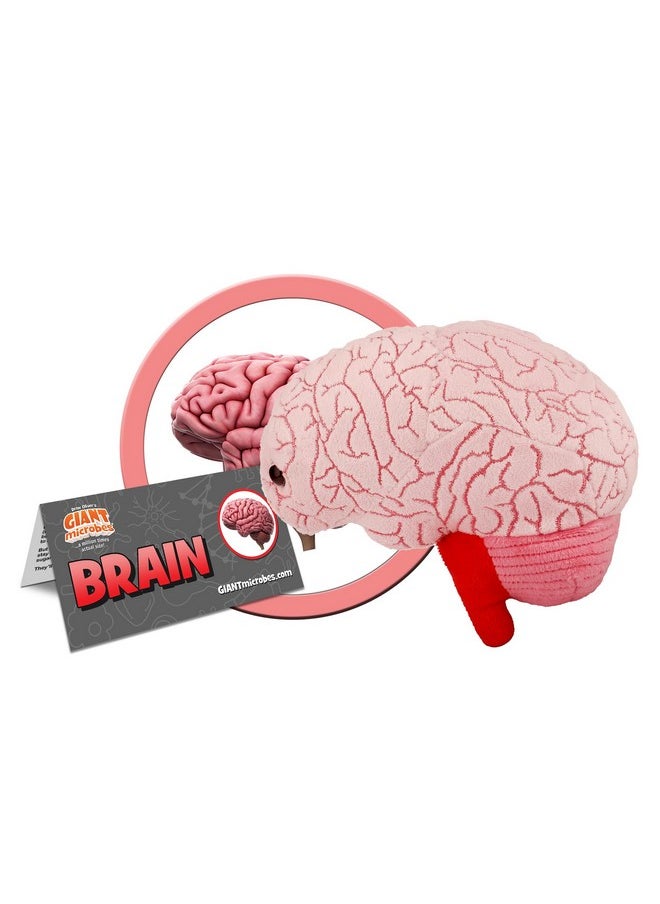 Giant Microbes - Giantmicrobes Brain Plush, Brain Toy, Brain Stuffed Animal, Brain Gifts For Neurologist, Brain Surgery Recovery Gifts, Neurology Gifts, Neuroscience Gifts, Brain Injury Gift, Brain Decor, Biology Gift - Image 1