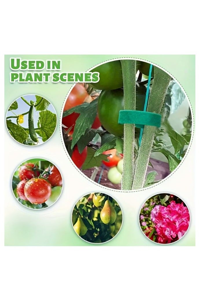 هومستر شريط ربط النباتات ذاتي اللصق -دعم الحديقة الخضراء المرنة للكروم والسيقان وكابلات البيانات، شريط سحري متعدد الوظائف لمهام الحدائق الآمنة - Image 2
