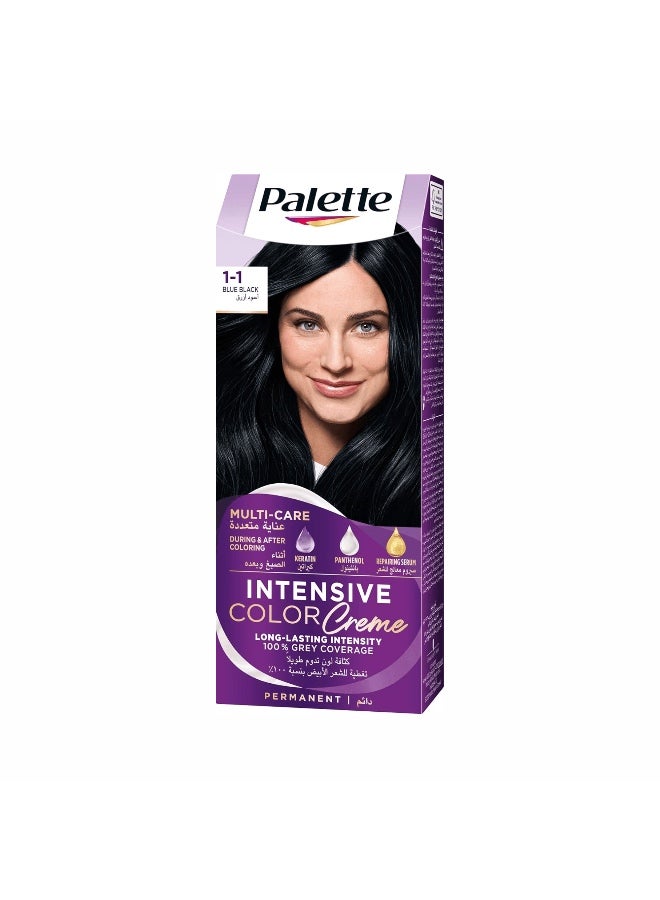 PALETTE 1-1 BLUE BLACK