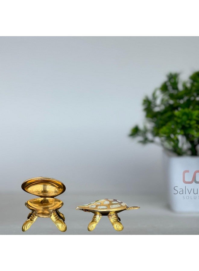 Salvus APP SOLUTIONS Brass Made Wish Fulfilling Tortoise/Turtle - Feng Shui Charm for Home Décor, Positive Energy, and Prosperity (White & Golden_3.5 Inch) - Image 1