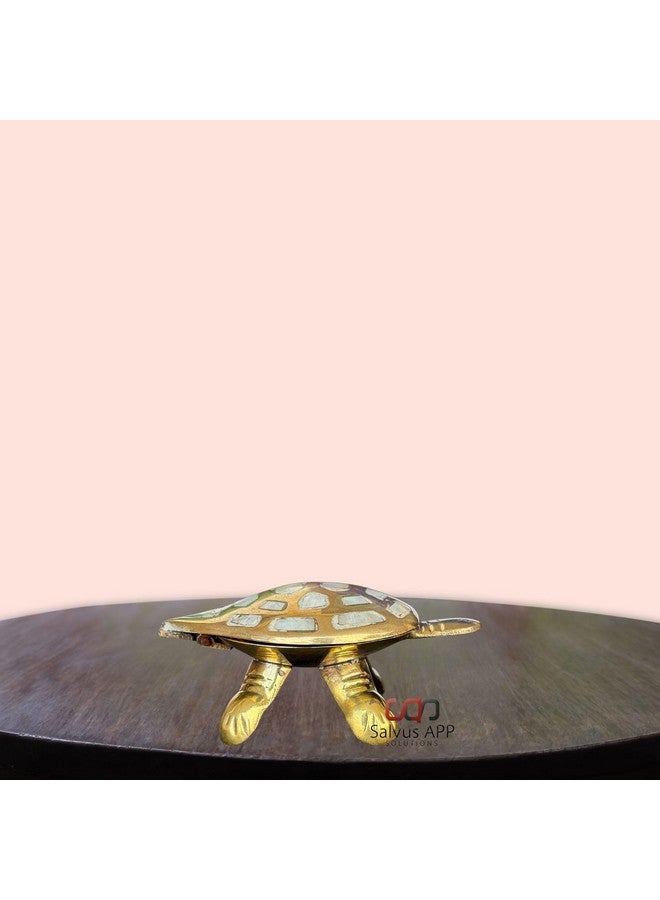 Salvus APP SOLUTIONS Brass Made Wish Fulfilling Tortoise/Turtle - Feng Shui Charm for Home Décor, Positive Energy, and Prosperity (White & Golden_3.5 Inch) - Image 5