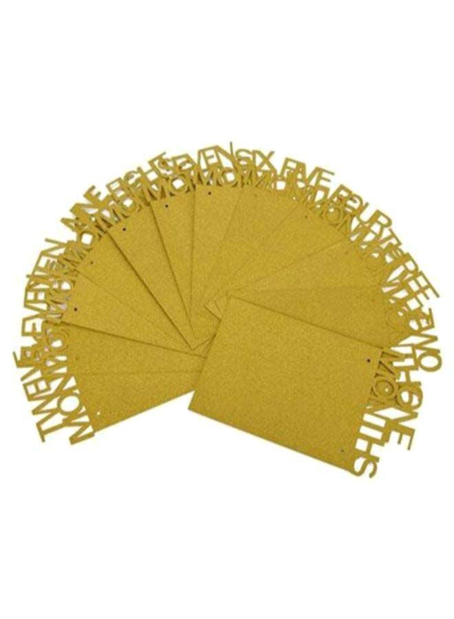 NIBEMINENT 1-12 Month 1St Birthday Party Photo Bunting Garland - Image 1