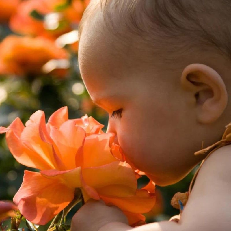 جيرما كير Germacare Baby ماء كولونيا للأطفال حديثي الولادة 150 مل - Image 2