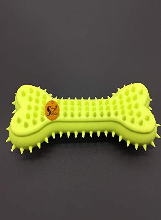 Sage Square Spike Dental Chew Bone Toy for Dogs -Color May Vary - Image 1