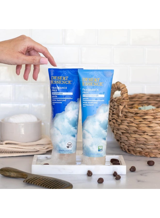 Desert Essence Fragrance Free Shampoo - Pure - 8 Fl Ounce - Pack of 3 - Unscented - Gloss & Shine - Strengthens Hair - Soft & Revitalized - Green Tea - Vitamins & Minerals - Jojoba Oil - Image 3