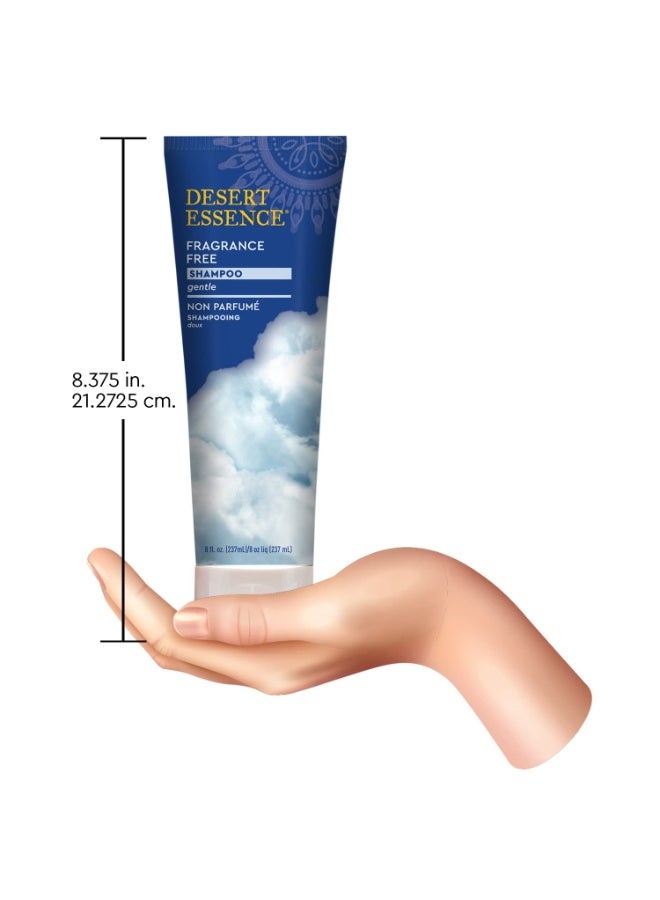 Desert Essence Fragrance Free Shampoo - Pure - 8 Fl Ounce - Pack of 3 - Unscented - Gloss & Shine - Strengthens Hair - Soft & Revitalized - Green Tea - Vitamins & Minerals - Jojoba Oil - Image 2