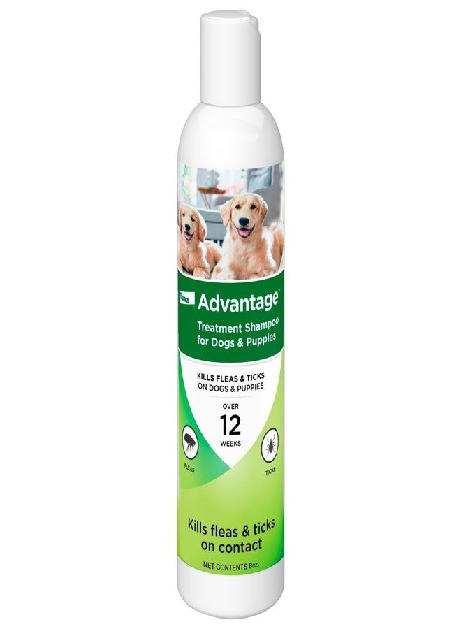 Advantage Dog Flea & Tick Shampoo for Puppies & Adult Dogs | Kills Fleas & Ticks | 8 oz. - Image 1