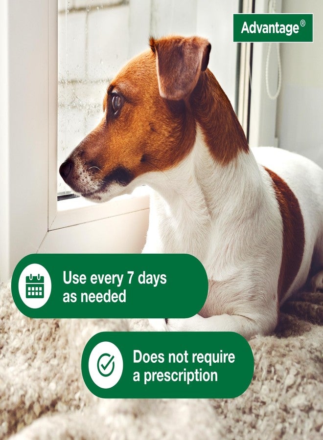 Advantage Dog Flea & Tick Shampoo for Puppies & Adult Dogs | Kills Fleas & Ticks | 8 oz. - Image 4