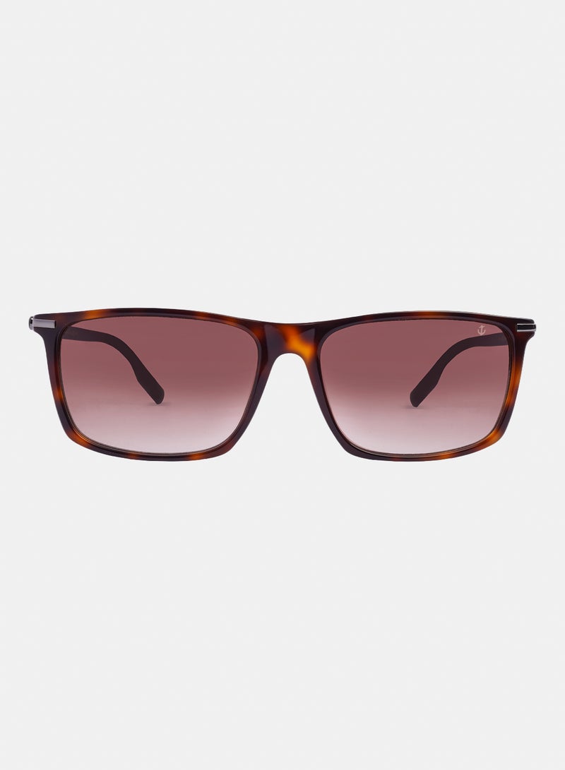Anchor Aviator Sunglasses 55 PR56CV - Image 1