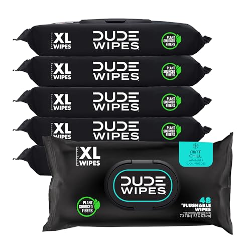 DUDE Wipes - Flushable Wipes - 6 Pack, 288 Count - Mint Chill - Vitamin-E, Aloe, Eucalyptus & Tea Tree Oils - Septic and Sewer Safe - Image 1