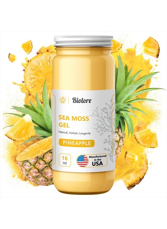 Sea Moss Gel Pineapple 16Oz - Made in USA Supercharge Your Health with Raw Wildcrafted Irish Seamoss - Essential Vitamins & Minerals - Antioxidant-Rich Vegan Superfood for Immune Support - pzsku/Z817EE1065EC0DA7E023FZ/45/_/1717008086/7751a6ed-a1fa-4156-aeac-34509529bcf4