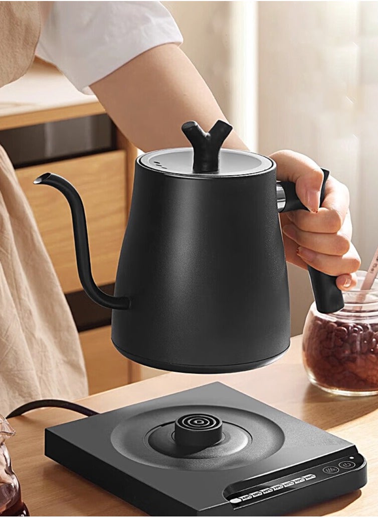 Gooseneck Electric  Kettle Pour Over Kettle Constant Temperature Coffee Kettle 1L 1000W Temperature Adjustment with Digital  Automatic Insulation 304 Stainless Steeltainless Steel - pzsku/Z817FB754A6371A6D9F6EZ/45/_/1740105152/46c00b92-91ed-4635-836b-66f9f123211e