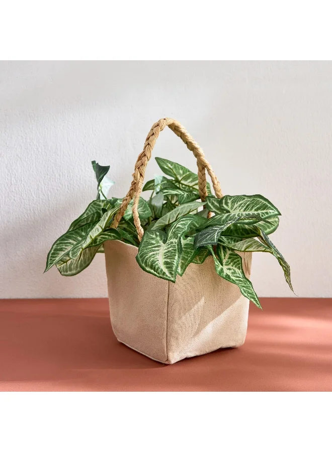 Home Box Bella Canvas Ato Large Plant Cover with Raffia Handle - 15x15x28 cm