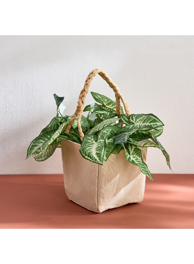 Home Box Bella Canvas Ato Large Plant Cover with Raffia Handle - 15x15x28 cm  - Image 1