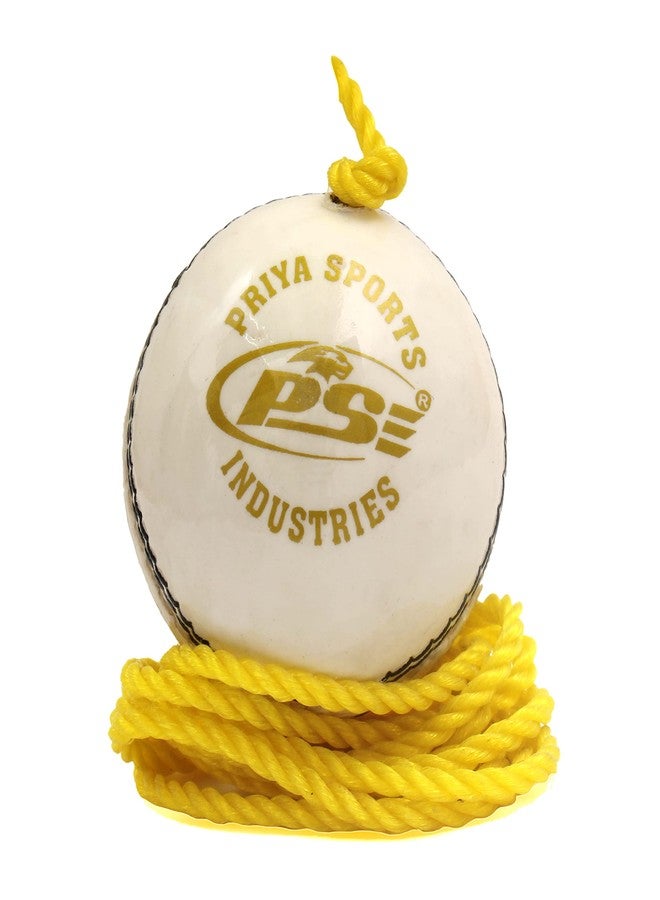 PSE Priya Sports Leather Combo-N2 Practice Hanging Cricket Balls Pack of 3 - Image 2