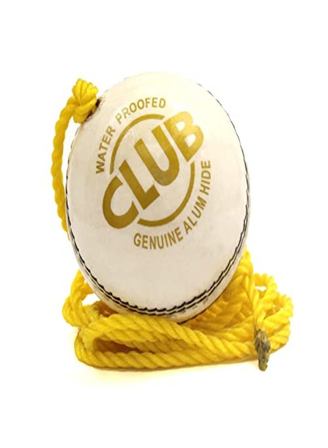 PSE Priya Sports Leather Combo-N2 Practice Hanging Cricket Balls Pack of 3 - Image 3
