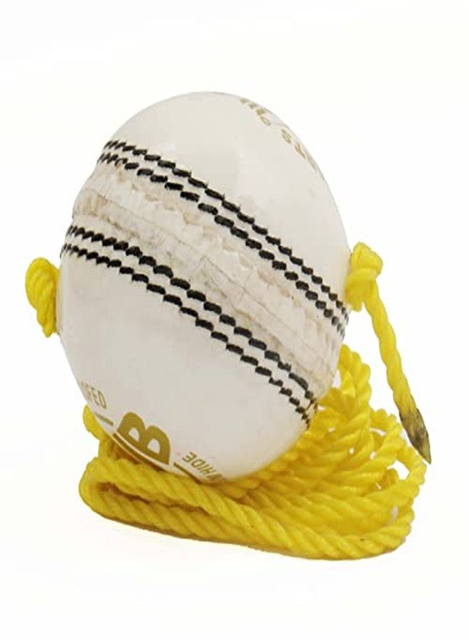 PSE Priya Sports Leather Combo-N2 Practice Hanging Cricket Balls Pack of 3 - Image 4
