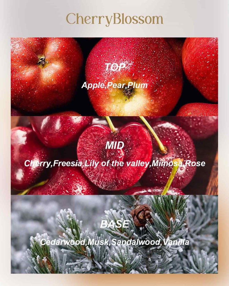 M&SENSE Cherry Blossom Scented Candles 12 oz, Large 3 Wick Soy Tin Candle, Over 40 Hour Burning Time, 100% Natural Vegan Wax, Relaxing Aromatherapy Aesthetic Candle Gift for Women and Men - Image 3
