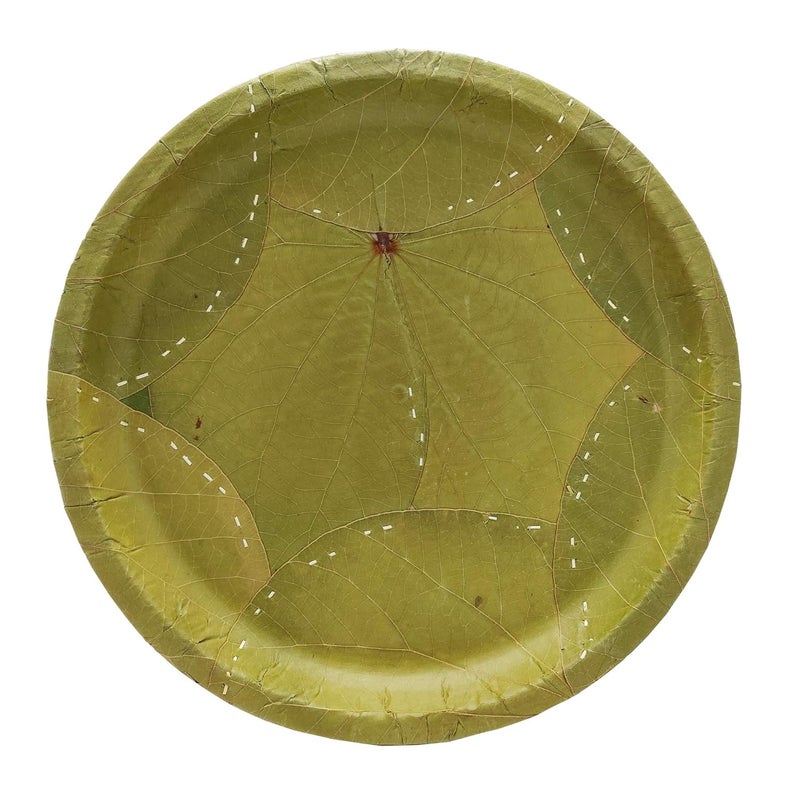 SAI PRASEEDA 100 Biodegradable_Eco Friendly_12 Inch Leaf Dinner Plates_Paper Glasses_ Tiffin Plates_Wooden Spoons_Paper Tea Cups_Tissues_Tooth Picks_All Items Pack of 100 Combo_ SPN38 - Image 3