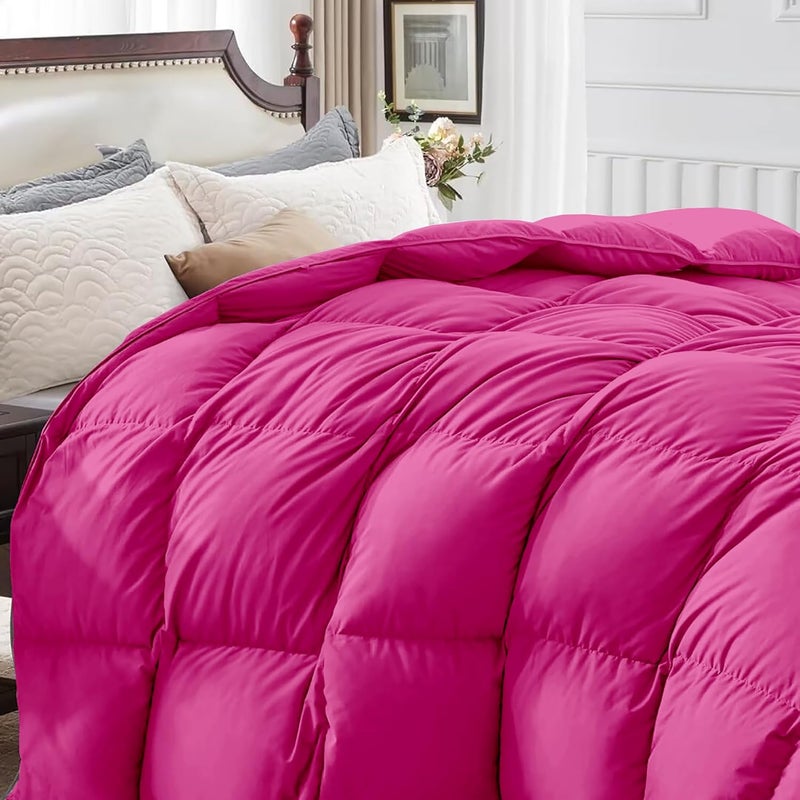 BEDDY FUSION 500 GSM Winter Comforter Double Bed Size 90X100 Premium Collection Heavy Winter Quilted Comforter 500 GSM Microfiber Fill DuvetBlanket Double Bed Hot Pink Color - Image 3