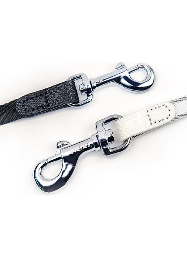 Flexi - Style Ribbon Automatic Dog Leash 5mt Medium Mint - Image 1