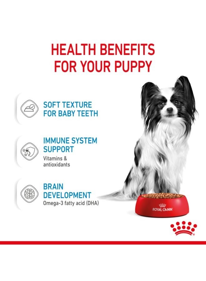 رويال كانين الحجم الصحة التغذية XS جرو 1.5 كجم - Image 4