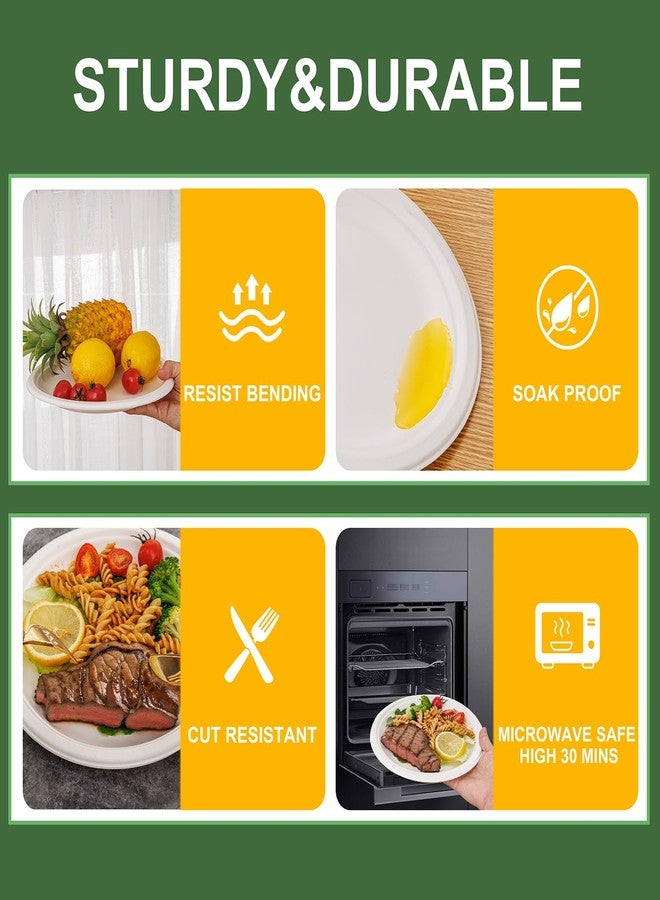 WELLIFE 10 Inch Paper Plates, 125-Pack 100% Compostable Heavy Duty Disposable Plates Bulk, Biodegradable Bagasse, Eco-Friendly, PFAS-Free | BPI Certified | Microwaveable - Image 3