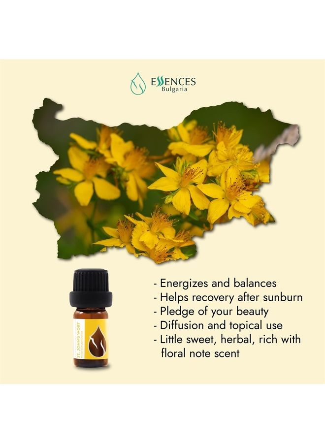 Essences Bulgaria Organic St. John's Wort Essential Oil 1/3 Fl Oz | 10ml | Hypericum perforatum | 100% Pure and Natural | Undiluted | Therapeutic Grade | Family Owned Farm | Steam-Distilled | Non-GMO  - Image 2