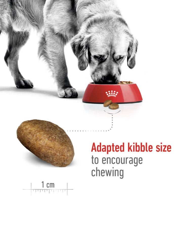 ROYAL CANIN Size Health Nutrition Maxi Adult 15 KG - Image 4