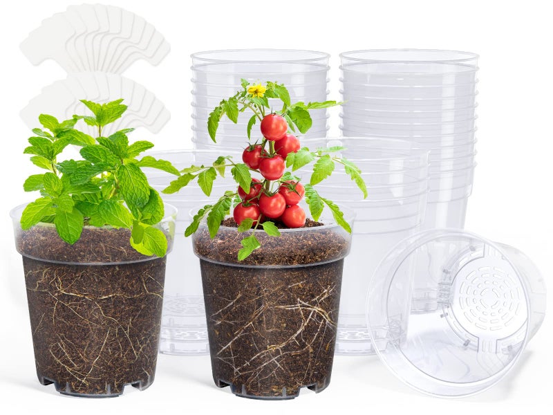 homenote أواني حضانة شفافة للنباتات، وعاء نباتي بقطر 5 بوصات لزراعة الشتلات البلاستيكية مع فتحات تصريف، مجموعة بدء الزهور عالية الشفافية مع 20 ملصق (30 حزمة) - Image 1