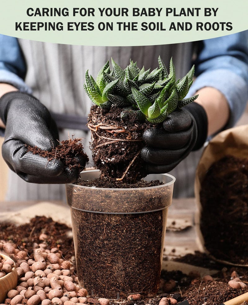 homenote أواني حضانة شفافة للنباتات، وعاء نباتي بقطر 5 بوصات لزراعة الشتلات البلاستيكية مع فتحات تصريف، مجموعة بدء الزهور عالية الشفافية مع 20 ملصق (30 حزمة) - Image 5