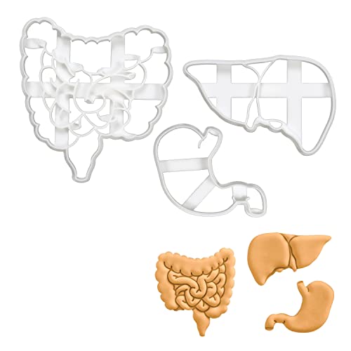 Set of 3 Gastrointestinal Anatomy cookie cutters Designs Intestines Liver and Stomach 3 pieces  Bakerlogy