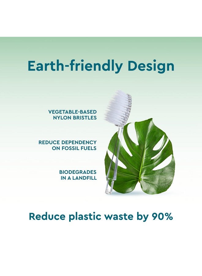 Radius Toothbrush Replacement Brush Heads 2 Count Improve Gum Health & Reduce Gum Issues Soft Big Head Pack Of 1 - Image 3