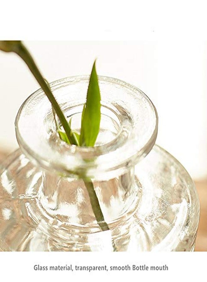 yaocoral Small Clear Glass Vase for Centerpieces,Diamond Glass Bud Vase Hydroponic Vase,Mini Table Vase Clear Flower Vase Decorative for Wedding Farmhouse Home Decor - Image 3