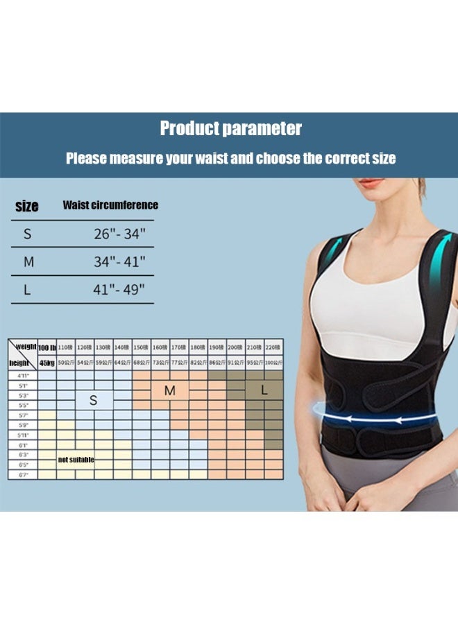 Back Brace and Posture Corrector for Unisex Back Straightener Scoliosis and Hunchback Correction Back Pain Spine Corrector Support Adjustable Posture Trainer - Image 4