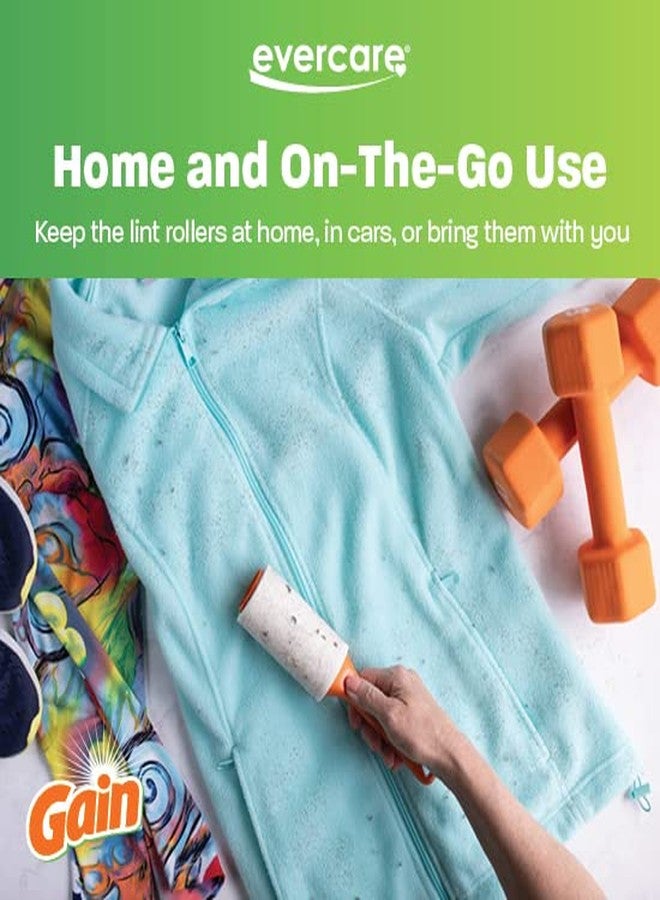 Evercare Pack of 6 Gain Scented All-Purpose Lint Roller Refill Rolls, 60 Sheets Each - Image 4