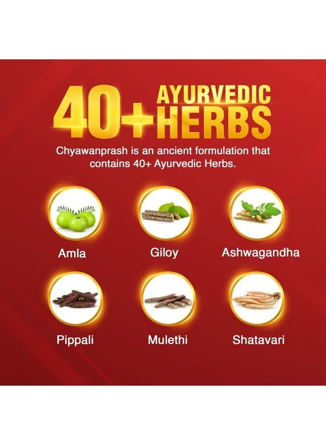 Dap Dabur Chiawanbrash: 2X/3X Immunity, Helps Build Strength and Endurance - 500g - Image 2