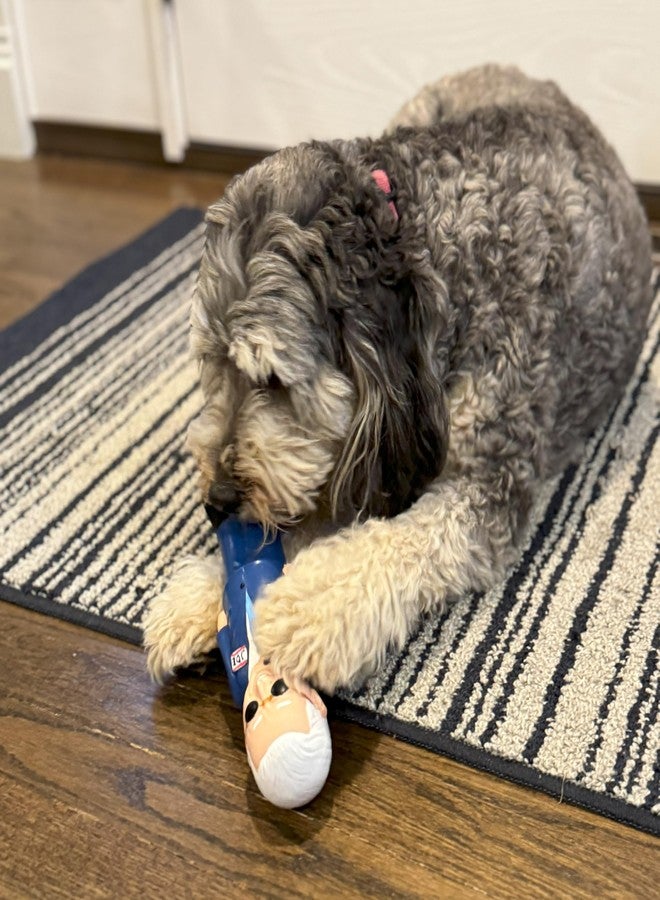 SPOT Latex Candidate Joe, Novelty Political Parody Dog Chew Toy with Squeaker, 8.5 Inches - Image 3