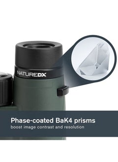 Celestron – Nature DX 10x42 Binoculars – Outdoor and Birding Binocular – Fully Multi-coated with BaK-4 Prisms – Rubber Armored – Fog & Waterproof Binoculars – Top Pick Optics  - Image 3