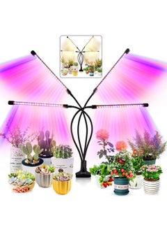 LEOTER LEOTER Grow Light for Indoor Plants - Upgraded Version 80 LED Lamps with Full Spectrum & Red Blue Spectrum, 3/9/12H Timer, 10 Dimmable Level, Adjustable Gooseneck,3 Switch Modes  - Image 1