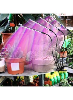 LEOTER LEOTER Grow Light for Indoor Plants - Upgraded Version 80 LED Lamps with Full Spectrum & Red Blue Spectrum, 3/9/12H Timer, 10 Dimmable Level, Adjustable Gooseneck,3 Switch Modes  - Image 2
