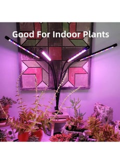 LEOTER LEOTER Grow Light for Indoor Plants - Upgraded Version 80 LED Lamps with Full Spectrum & Red Blue Spectrum, 3/9/12H Timer, 10 Dimmable Level, Adjustable Gooseneck,3 Switch Modes  - Image 3