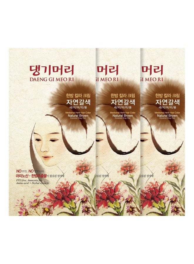 Doori لون شعر الأعشاب الطبية داينغ جي ميو ري لتغطية الشعر الرمادي (بني طبيعي) (3 عبوات) - Image 1
