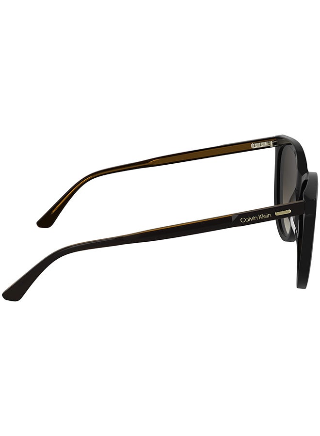 CALVIN KLEIN نظارات شمسية كاملة الإطار من أسيتات كالفن كلاين CK25508S 5516 (001) سوداء - Image 5