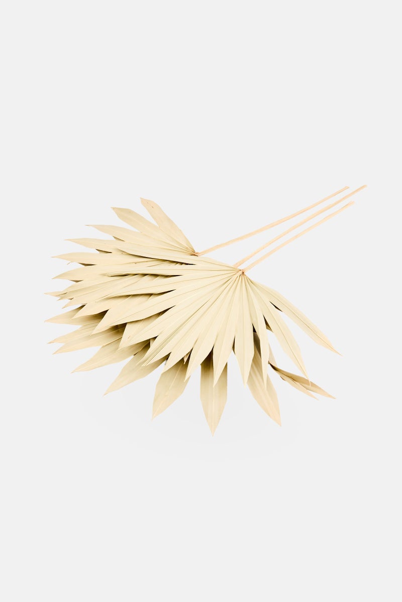 Muy Mucho 3 Pieces Natural Dried Sun Palm Spear, Light Sage - Image 2