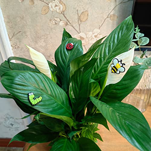 HOMDSG Cute Plant Magnets Eyes for Potted Plants, Plant Safe Magnet Pins Charms, Unique for Plant Lovers, Indoor Plant Accessories, Set of 6 - Image 3