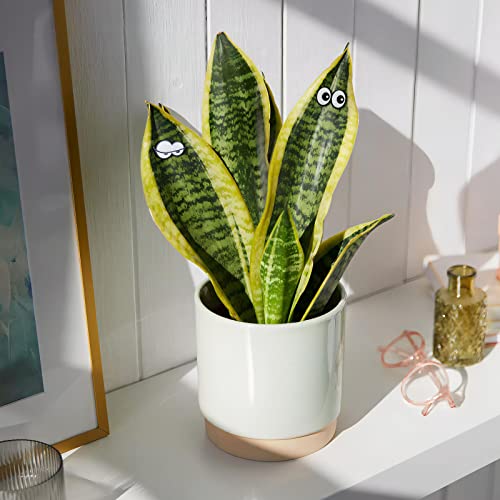 HOMDSG Cute Plant Magnets Eyes for Potted Plants, Plant Safe Magnet Pins Charms, Unique for Plant Lovers, Indoor Plant Accessories, Set of 6 - Image 2