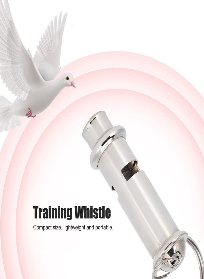 Gsycle Bird Call Whistle, Stainless Steel Bird Whistle with Lanyard, Portable Ultrasonic Pet Training Tool for Birds Pigeons Dogs Cats High Pitch Silent Whistle Training Signal Outdoor Activities (Silver) - Image 2
